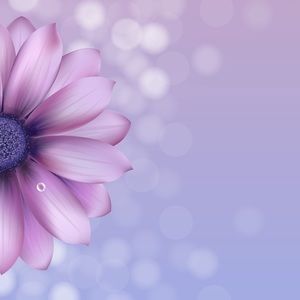 Meet your Posher, Lynne